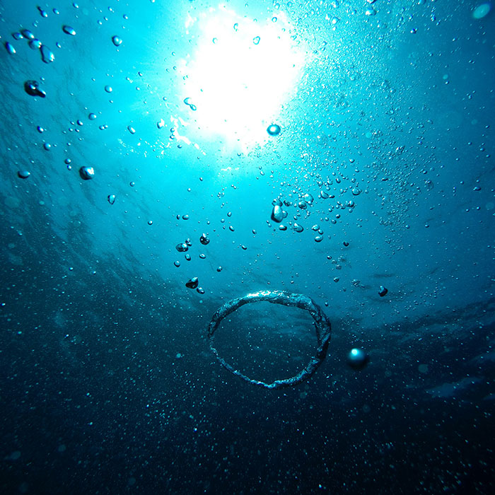 Echoes of the Deep