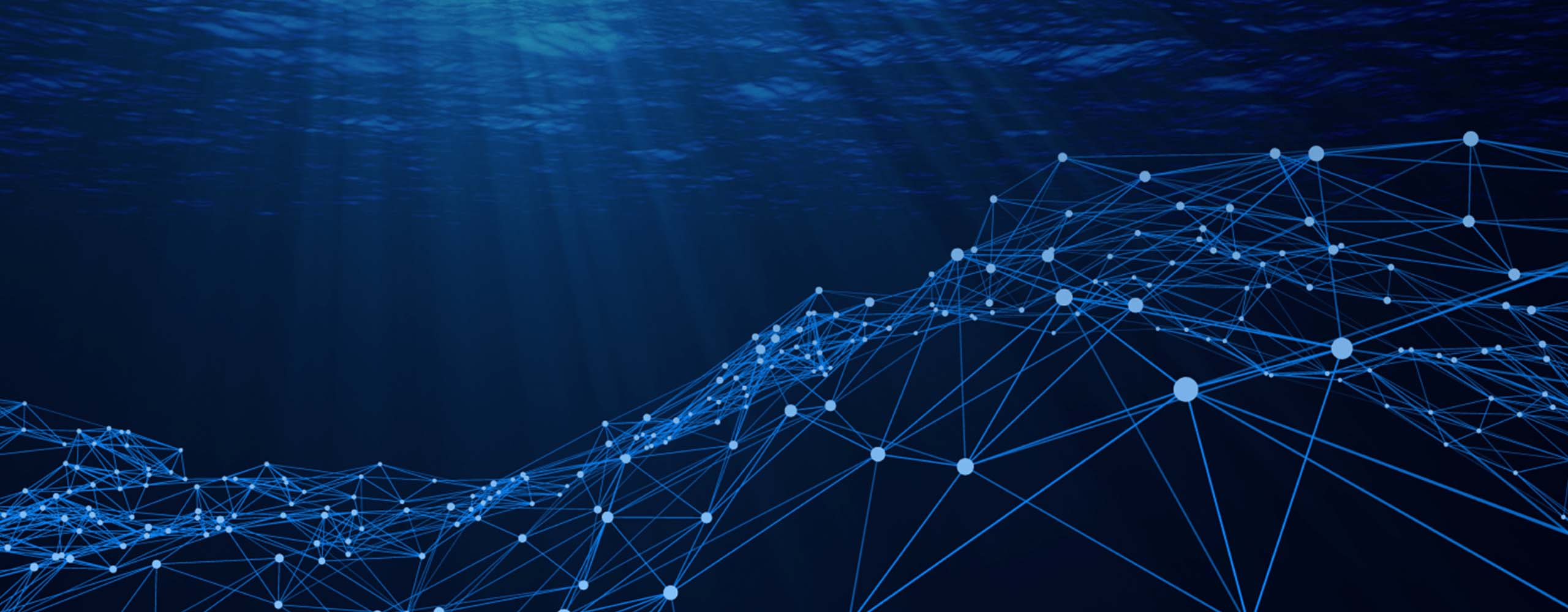 Making the Digital Twin of the Ocean fit for Global Marine Governance: Ethics, Politics, and Transformative Power