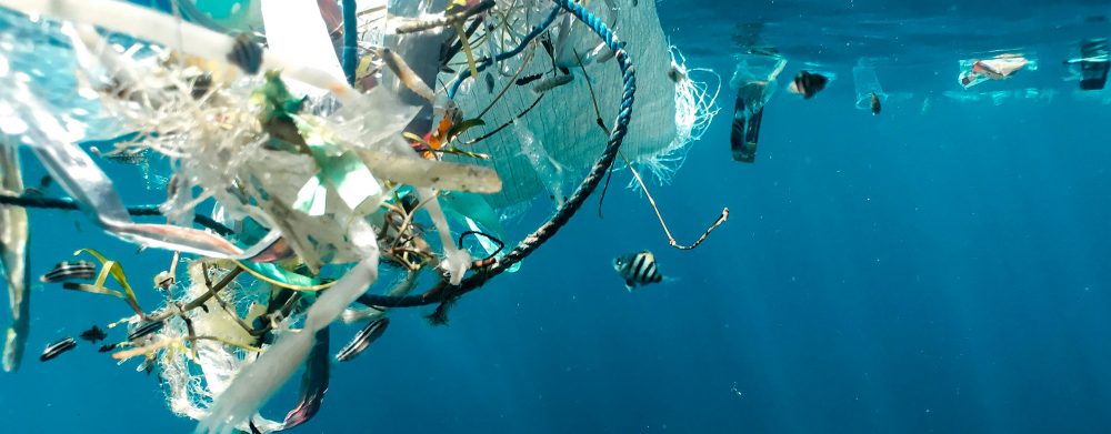 Festival Sciences-Sur-Mer: Un Océan de plastique