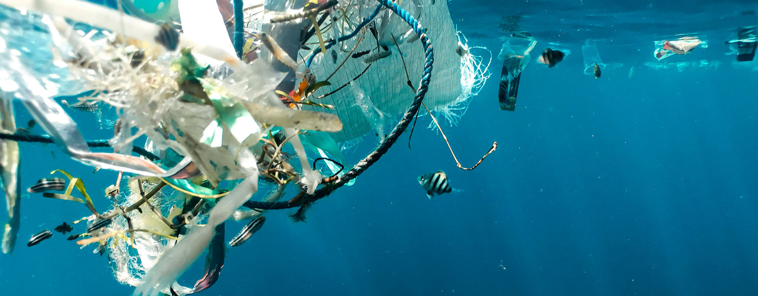 Festival Sciences-Sur-Mer: Un Océan de plastique