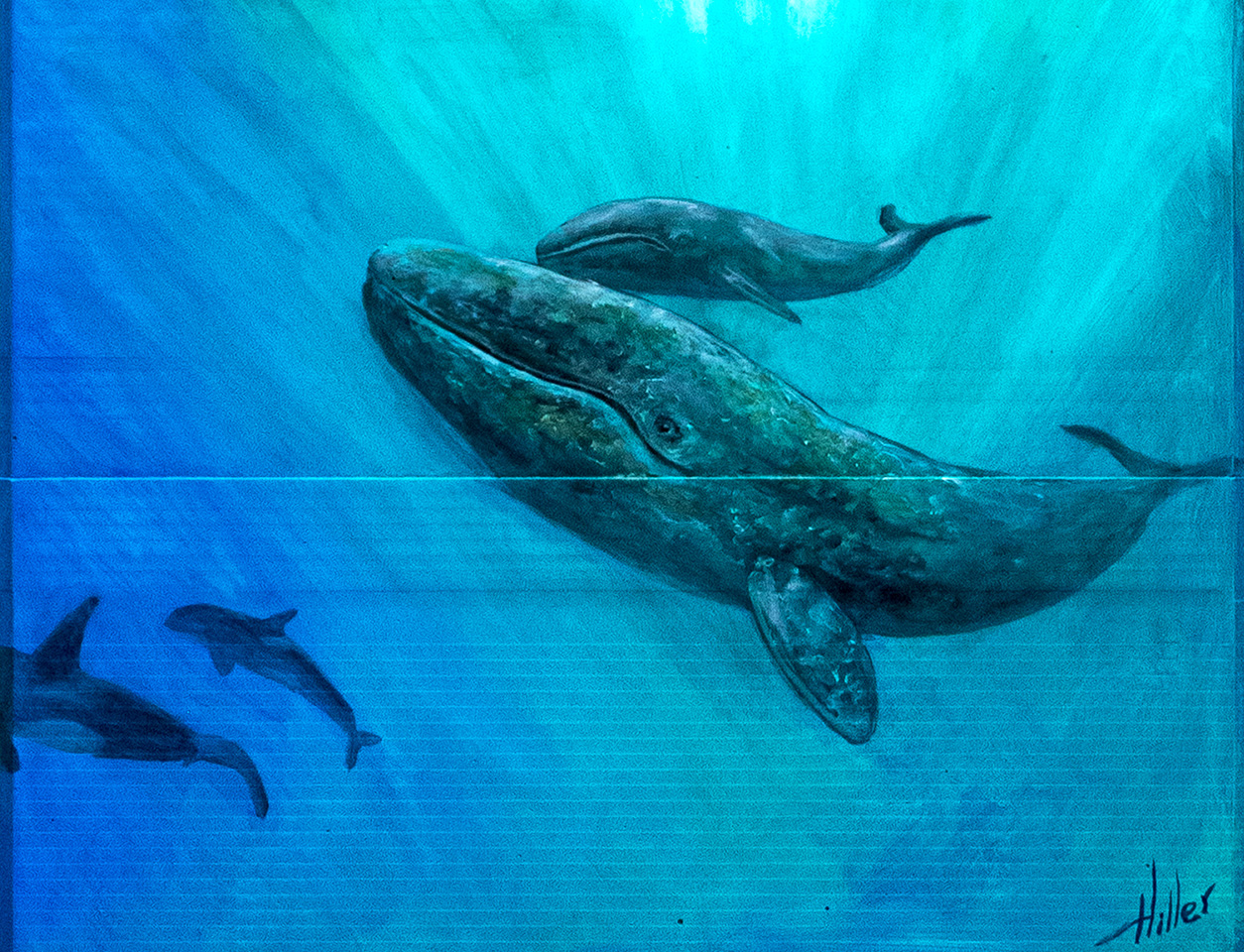 Artwork by Carlos Hiller - Acrylic paint on BGC-Argo float foam