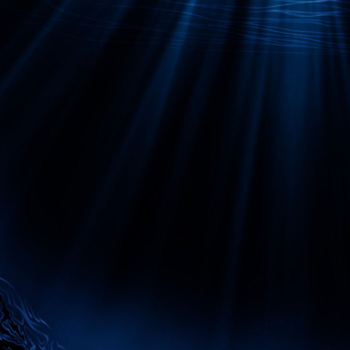 Festival Sciences-Sur-Mer: Innovation in observing deep ocean environments globally : contributions from the solid-earth sciences