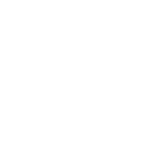 logo-cnrs-white